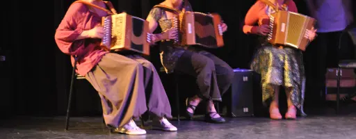 Accordéon diatonique débutant