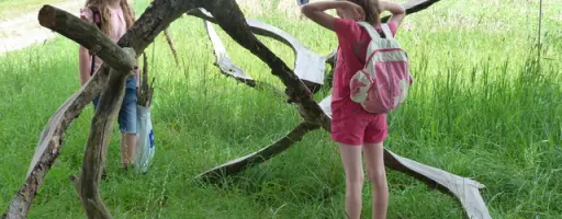 Les explorateurs du minuscule