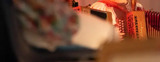Accordéon diatonique avancé