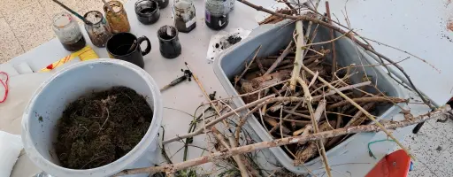 Terre aux tr&eacute;sors