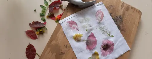 Les couleurs de la terre